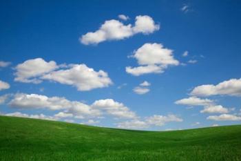 Green Wheat Field Landscape, Washington State | Obraz na stenu