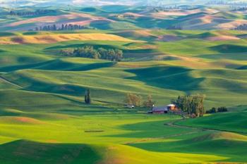 Farmland Viewed From Steptoe Butte, Washington State | Obraz na stenu