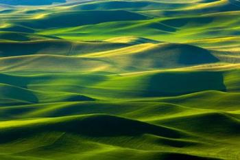 Country Landscape Viewed From Steptoe Butte | Obraz na stenu