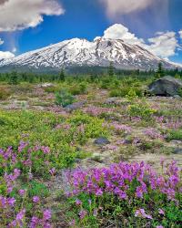 Mount Saint Helens Landscape, Washington State | Obraz na stenu