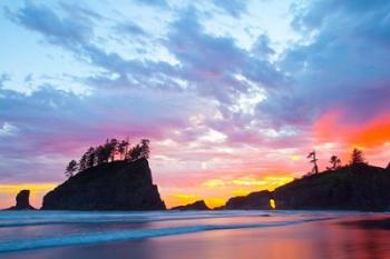 Second Beach At Sunset, Washington State | Obraz na stenu