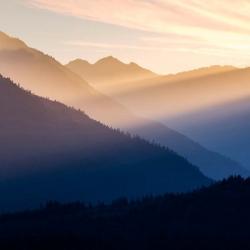Sunset In The Olympic National Forest | Obraz na stenu