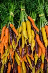 Display Of Carrot Varieties | Obraz na stenu