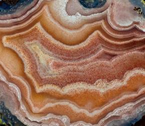 Banded Mexican Agate | Obraz na stenu