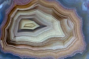 Banded Agate, Sammamish, Washington | Obraz na stenu