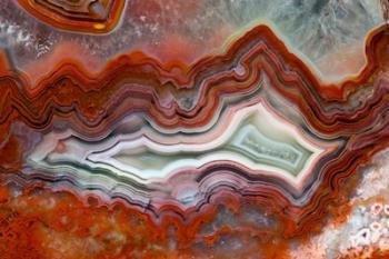 Mexican Crazy Lace Agate II | Obraz na stenu