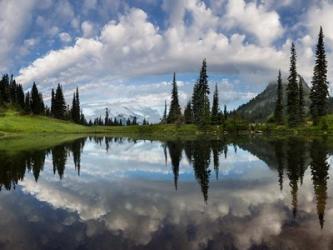 Mt Rainier And Clouds Reflecting In Upper Tipsoo Lake | Obraz na stenu