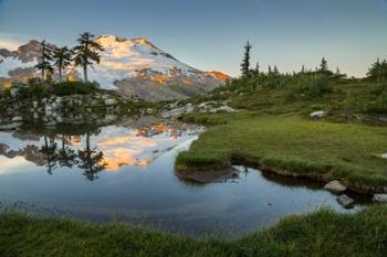 Mt Baker Reflecting In A Tarn On Park Butte | Obraz na stenu