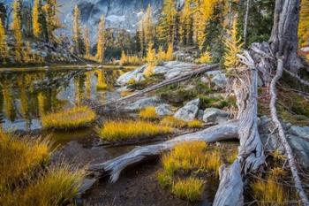 Horseshoe Lake Landscape In The Alpine Lakes Wilderness | Obraz na stenu