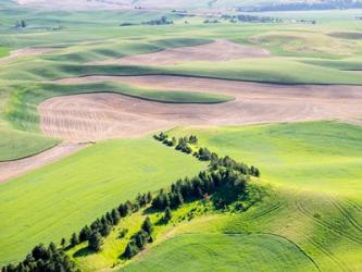 Aerial Shot In The Palouse Region Of Eastern Washington | Obraz na stenu