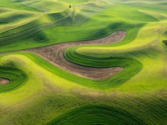 Aerial Of The Palouse Region, Washington | Obraz na stenu