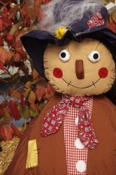 Stuffed Scarecrow on Display at Halloween, Washington | Obraz na stenu