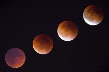 Composite Of The Phases Of A Total Lunar Eclipse | Obraz na stenu