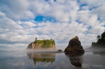 Early Morning Mist And Reflections Of Sea Stacks On Ruby Beach | Obraz na stenu