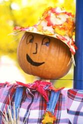 WA, Chelan, Halloween holiday Scarecrow | Obraz na stenu