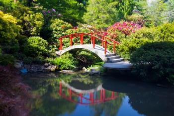 Moon Bridge In The Kubota Gardensm Washington State | Obraz na stenu