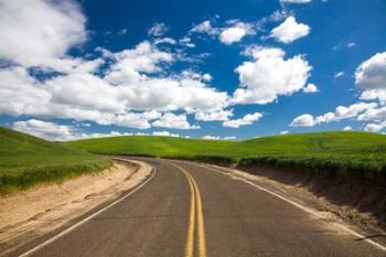 Backroad Through The Green Fields Of Washington | Obraz na stenu