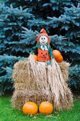 Wisconsin Autumn haystack, Halloween decorations | Obraz na stenu