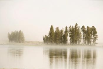 Morning Fog Along The Yellowstone River In Yellowstone National Park | Obraz na stenu