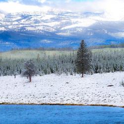 Yellowstone National Park In Winter, Wyoming | Obraz na stenu