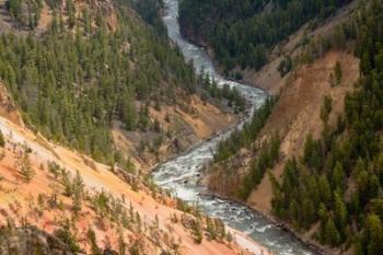 Inspiration Point, Yellowstone River, Grand Canyon Of The Yellowstone | Obraz na stenu