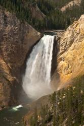 Lower Falls Of The Yellowstone, Lookout Point, Wyoming | Obraz na stenu