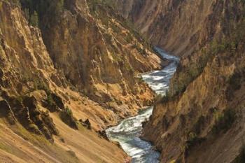 Yellowstone River Landscape, Wyoming | Obraz na stenu