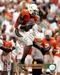 Andre Johnson University of Miami Action | Obraz na stenu