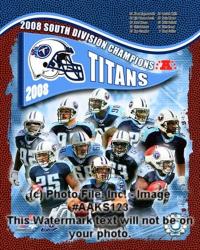 2008 Tennessee Titans AFC South Division Champs | Obraz na stenu