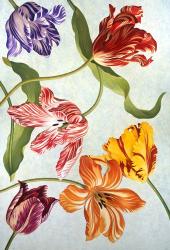 Floral Tulips IV | Obraz na stenu