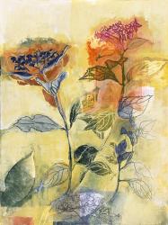Hydrangea I | Obraz na stenu