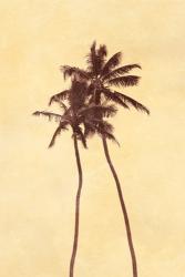 Palm Vista I | Obraz na stenu