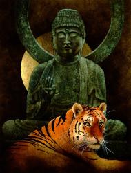 Bengal and Buddha | Obraz na stenu