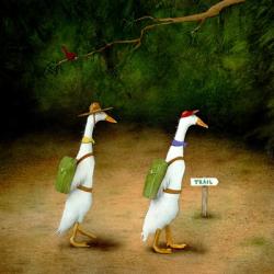 Backquackers | Obraz na stenu