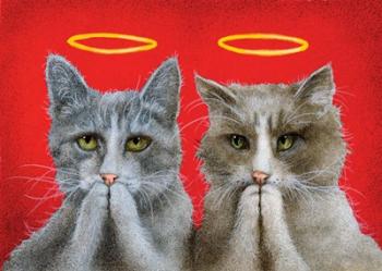 Holy Cats | Obraz na stenu