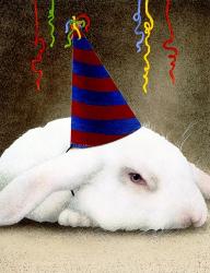 Party Animal | Obraz na stenu