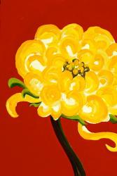 Yellow Chrysanthemum | Obraz na stenu