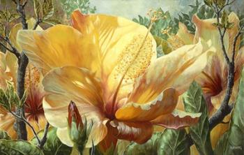 Golden Hibiscus | Obraz na stenu