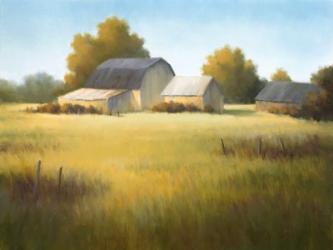 Country Meadow I | Obraz na stenu