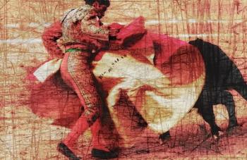 San Miguel, Bullfight #1 | Obraz na stenu