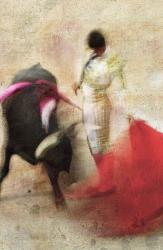 San Miguel, Bullfight #2 | Obraz na stenu