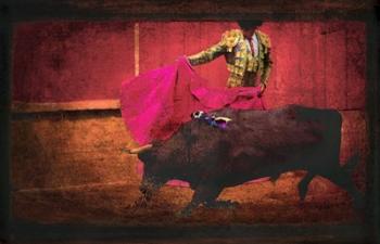 San Miguel, Bullfight #4 | Obraz na stenu