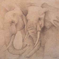 Elefantes en el Papel Uno | Obraz na stenu