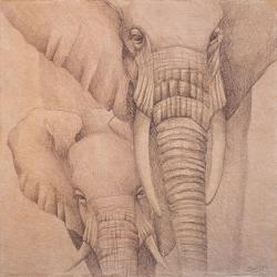 Elefantes en el Papel Quatro | Obraz na stenu