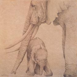 Elefantes en el Papel Tres | Obraz na stenu