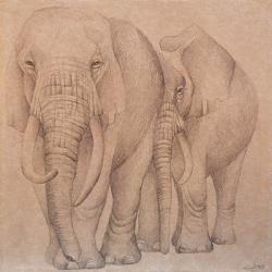 Elefantes en el Papel Dos | Obraz na stenu