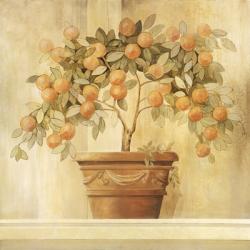 Orange Topiary | Obraz na stenu