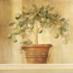 Lime Topiary | Obraz na stenu