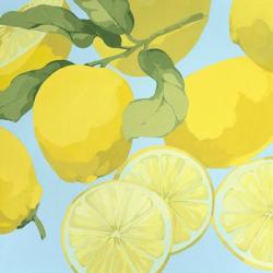 Fresh Lemons | Obraz na stenu
