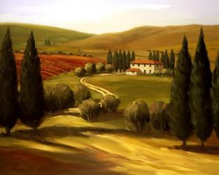 Through the Hills of Tuscany | Obraz na stenu